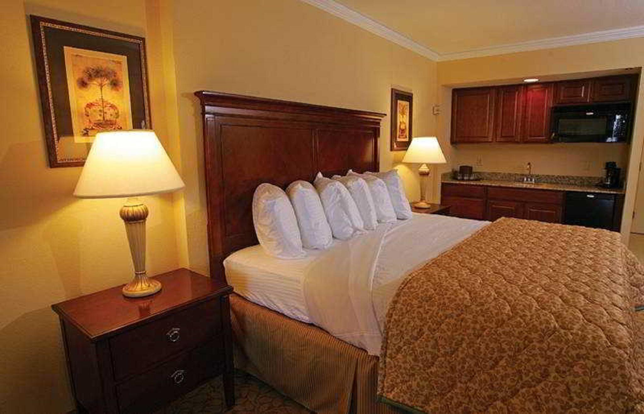 The Plaza Resort & Spa - דייטונה ביץ' מראה חיצוני תמונה